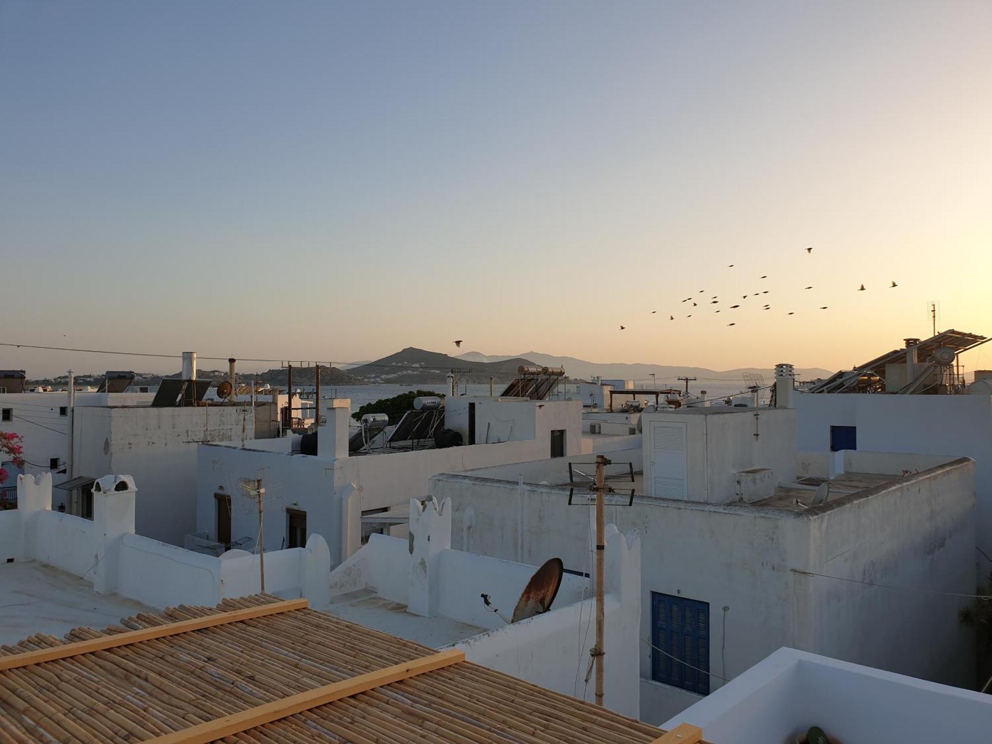 My Island Homes And Residence Naxos City Pokój zdjęcie